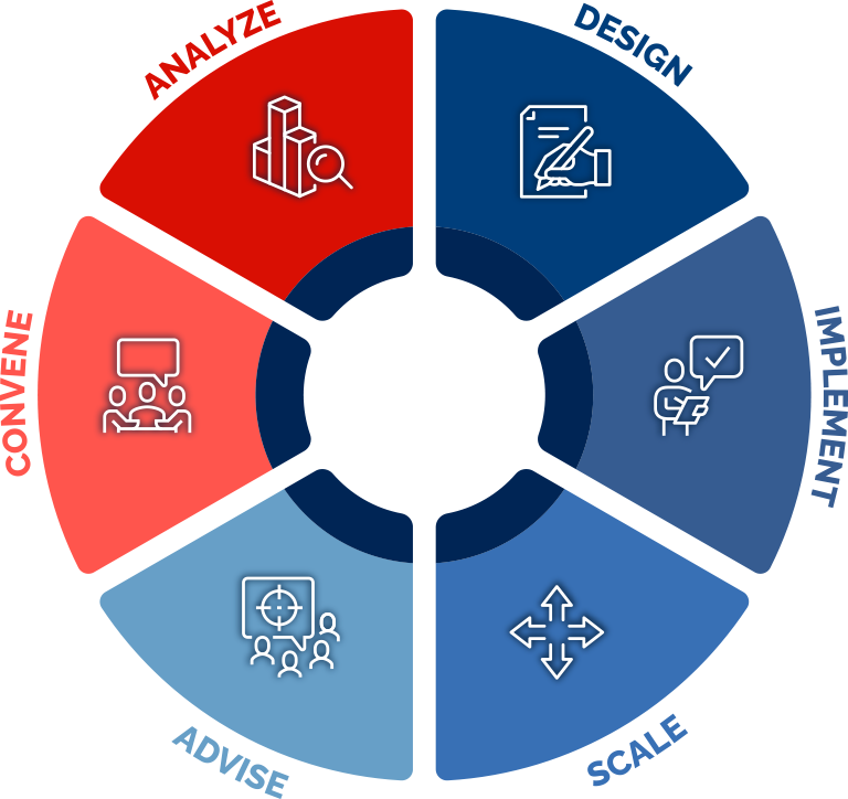 analyze design implement scale advise convene